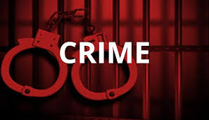 अर्जुनी परिक्षेत्र में गौर के शिकार की घटना पर वन विभाग की त्वरित कार्रवाई,लापरवाही पर वनरक्षक निलंबित